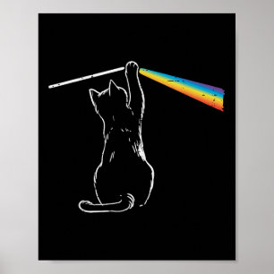 Póster Gato Arcoiris Luz Guay Prisma Ciencia Hombres Espe