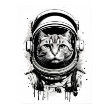 Gato astronauta blanco y negro