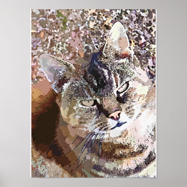 PÓSTER GATO ATIGRADO (Frente)