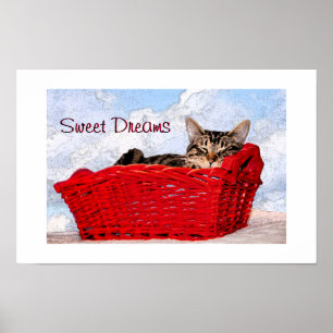Póster Gato Atigrado Adorable Durmiendo en Cesta Roja Fot