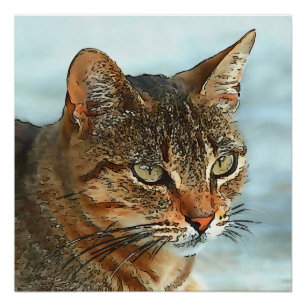 Póster Gato atigrado con contorno negro estilo caricatura