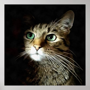 Póster Gato atigrado con ojos verdes aislado sobre negro