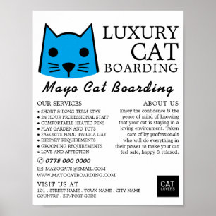 Póster Gato azul, abordaje para gatos, publicidad de cace