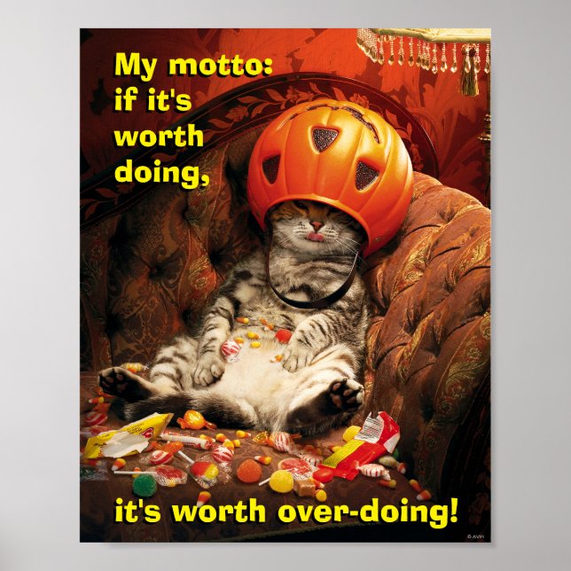 Póster Gato bajo cubo de golosinas (Frente)