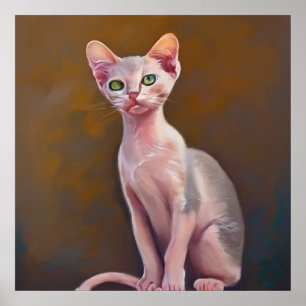 Póster Gato bambino