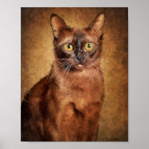 Póster Gato birmano marrón