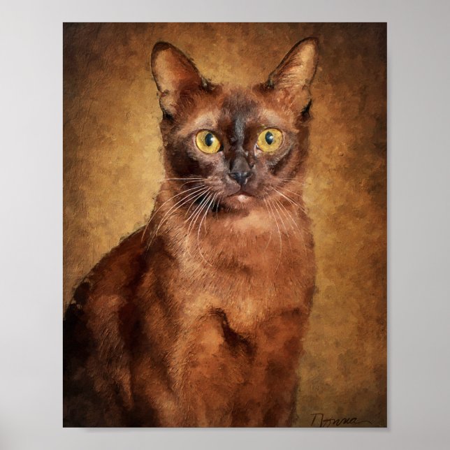Póster Gato birmano marrón (Frente)