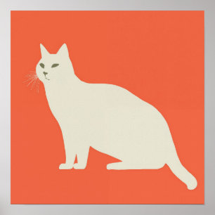 Póster Gato blanco