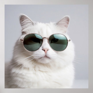 Póster Gato blanco con gafas de sol, felino fresco, masco