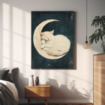 Gato blanco durmiendo en luna creciente - Noche so