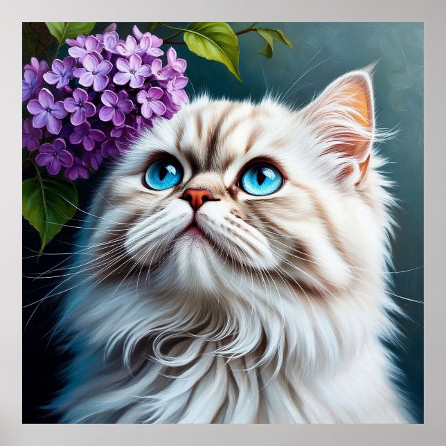 Póster Gato Blanco Esponjoso Con Ojos Azules (Frente)