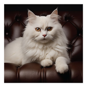 Póster Gato blanco majestuoso