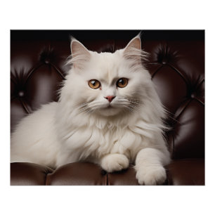 Póster Gato blanco majestuoso
