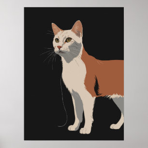 Póster Gato blanco y naranja de fondo negro