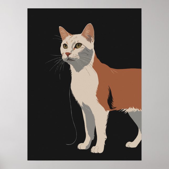 Póster Gato blanco y naranja de fondo negro (Frente)