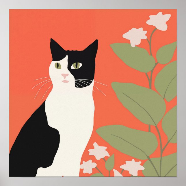 Póster Gato blanco y negro (Frente)