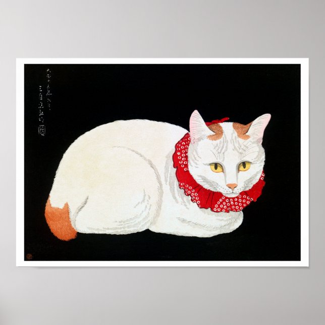 Póster Gato Bobtail japonés, Shotei (Frente)