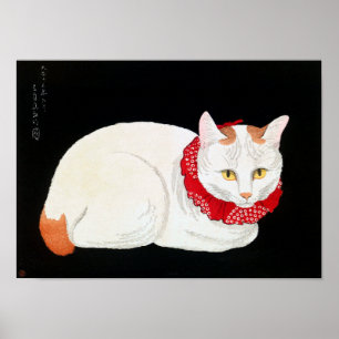 Póster Gato Bobtail japonés, Shotei