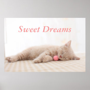 Póster Gato británico de Shorthair