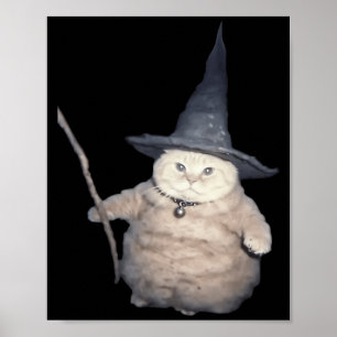 Póster Gato brujo divertido lindo gatito extraño meme gat