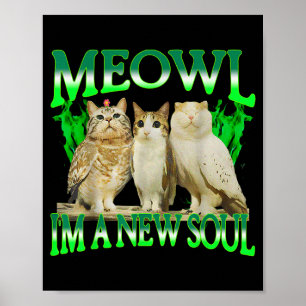 Póster Gato búho divertido meme humor hombres Meowl una n