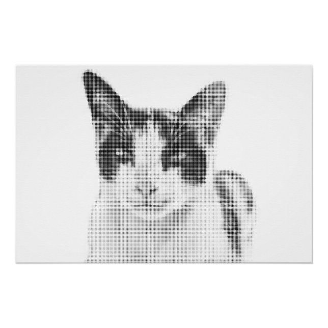 Póster Gato Calico Cómic Semitono (Anverso)
