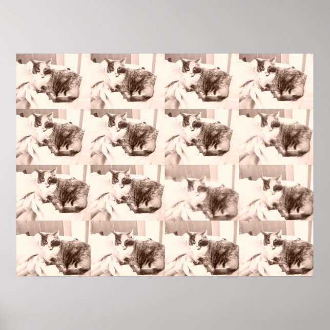Póster Gato calico vintage (Frente)