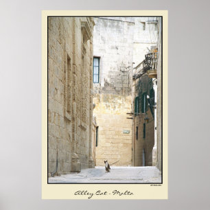 Póster Gato callejero - Malta