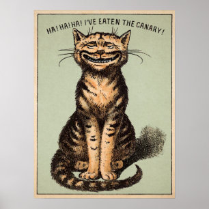 Póster Gato canario vintage