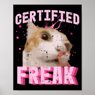 Póster Gato certificado friki divertido dicho gatito muje
