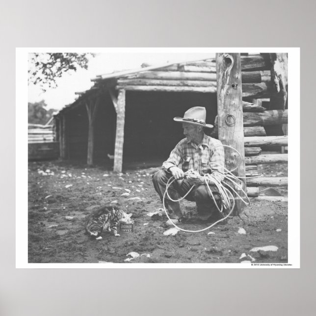 Póster Gato comiendo de un café. (Frente)