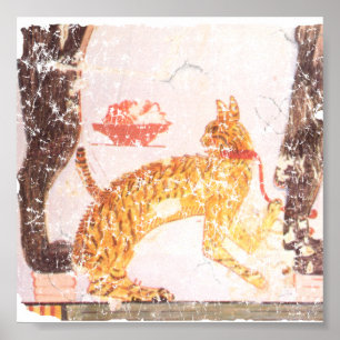 Póster gato con collar