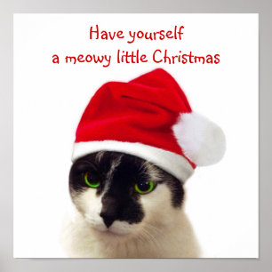 Póster Gato con el Gorra de Santa