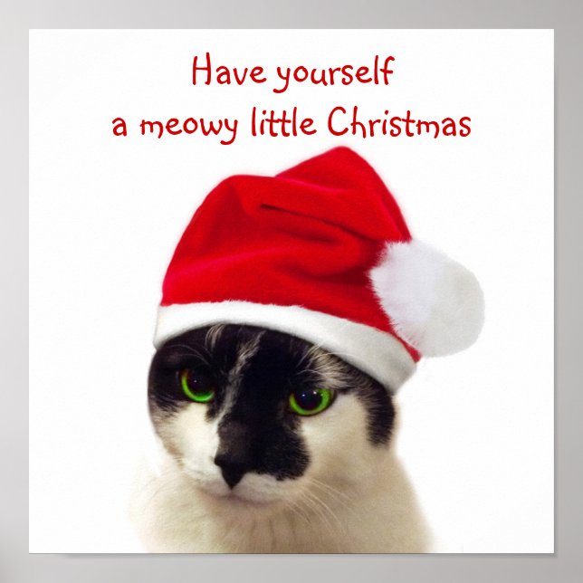 Póster Gato con el Gorra de Santa (Frente)