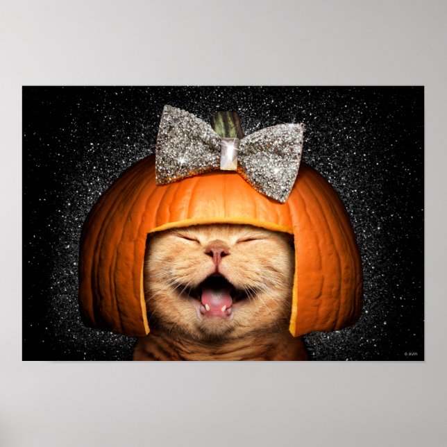 Póster Gato Con El Pelo De La Calabaza (Frente)