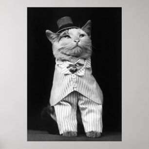 Póster Gato con Gorra, 1906