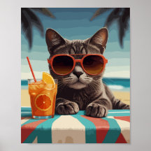 Gato con jugo de naranja en la playa