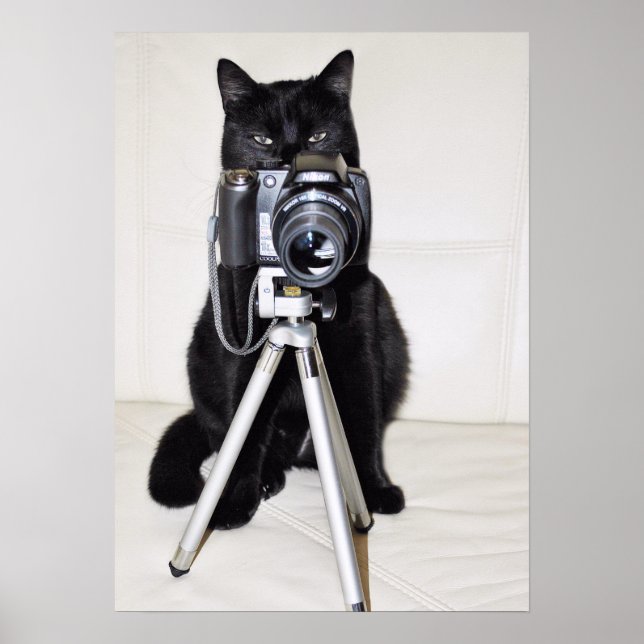 Póster Gato con la cámara (Frente)