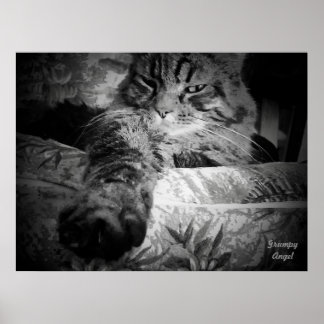 Póster Gato con la coraza media