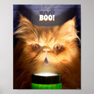 Póster Gato Con Linterna