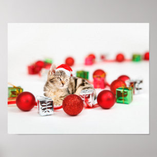 Póster Gato con Navidades rojos de sombrero Santa