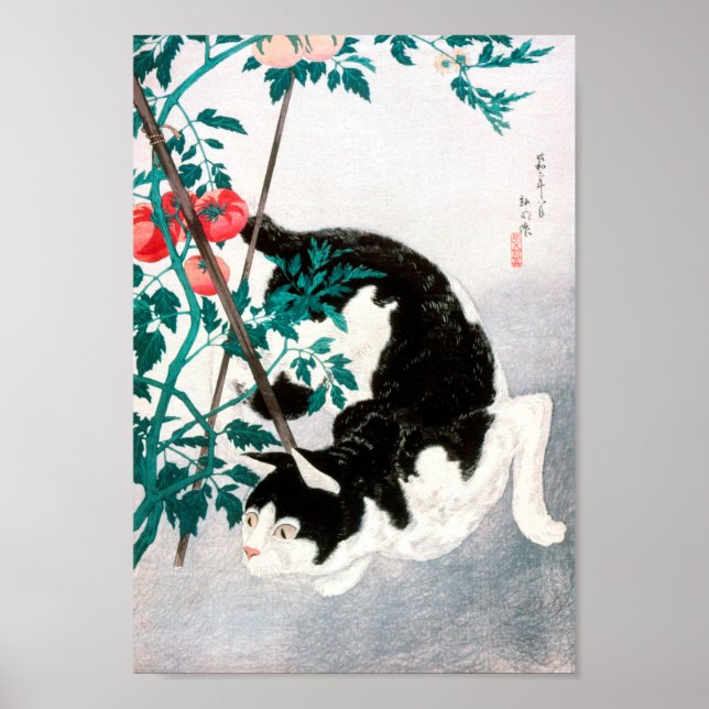 Póster Gato con planta de tomate (1931) de Hiroaki Takaha (Frente)