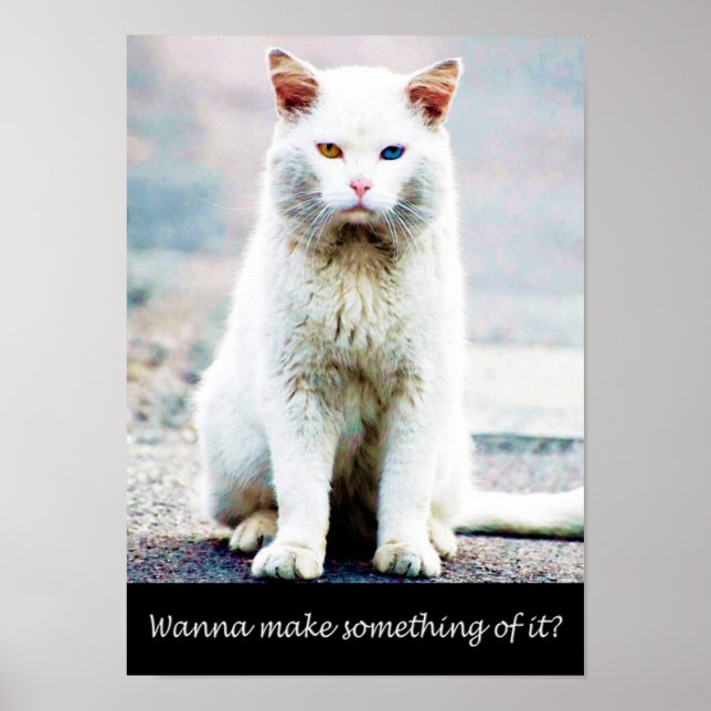 Póster Gato con poster de actitud (Frente)