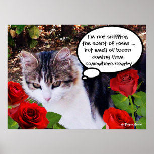 PÓSTER GATO CON ROSAS ROJAS