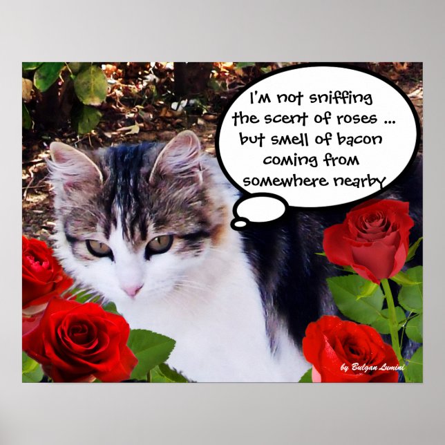 PÓSTER GATO CON ROSAS ROJAS (Frente)