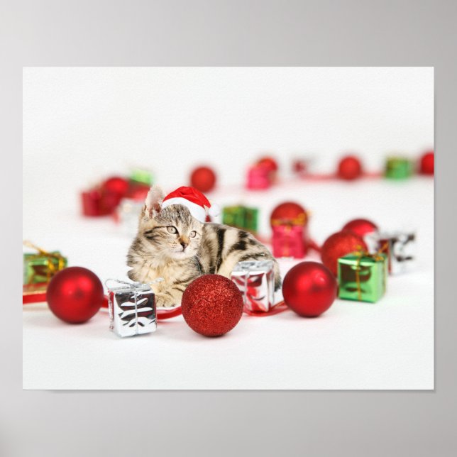 Póster Gato con sombrero rojo de Santa Navidad (Frente)