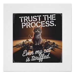 Póster Gato Confía En El Proceso Humor De Oficina Meme