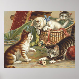 Póster Gato curioso de la CAMISETA