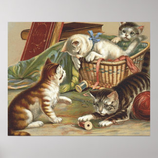 Póster Gato curioso de TEE
