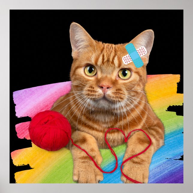 Póster Gato dañado en fondo arco iris (Frente)